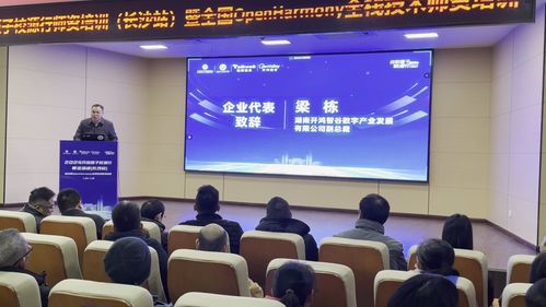 开鸿智谷携手开源基金会成功举办校源行师资培训 推动计算机技术教育发展